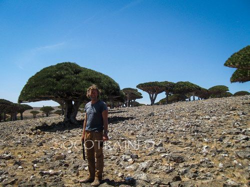 Sailing on Socotra