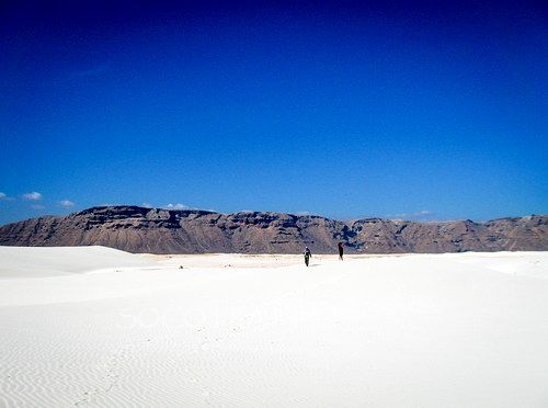 Sailing on Socotra