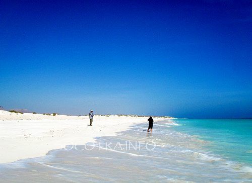 Sailing on Socotra