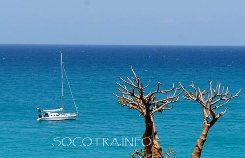 Sailing on Socotra island, Arabian Sea