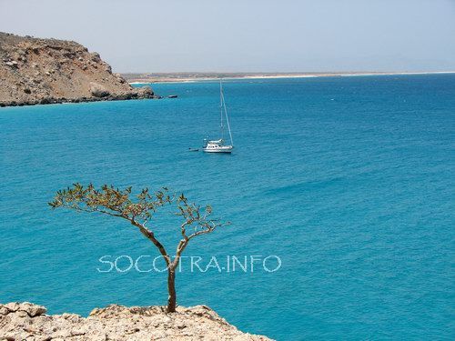 Sailing on Socotra island, Arabian Sea
