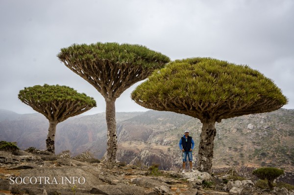 Sailors on Socotra