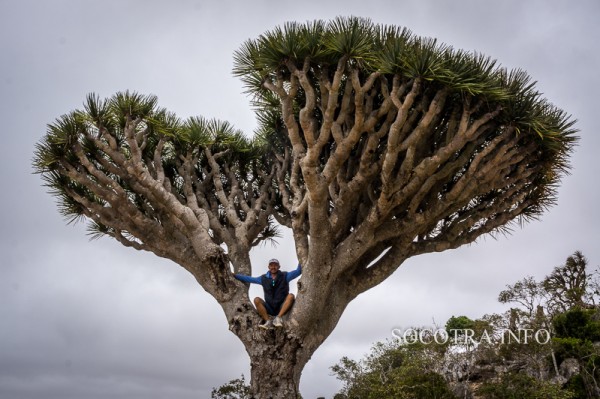 Sailors on Socotra