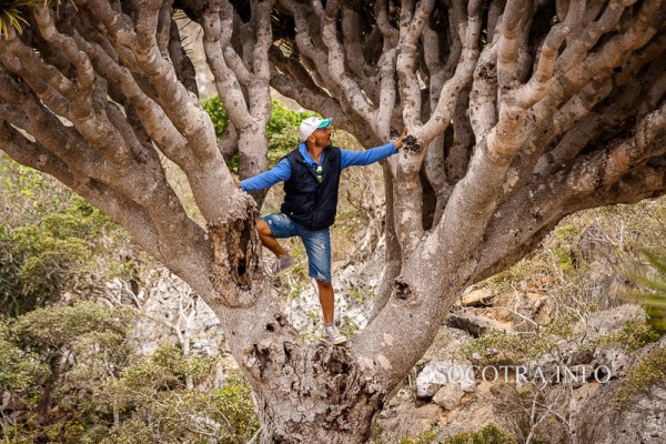 Sailors on Socotra