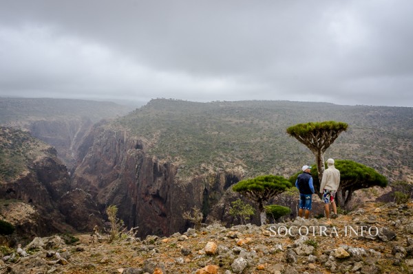 Sailors on Socotra