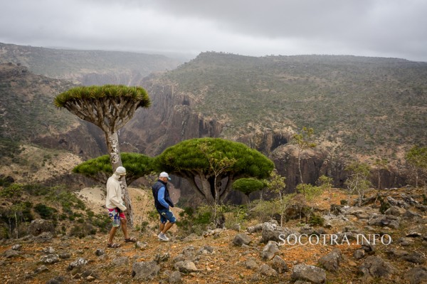 Sailors on Socotra