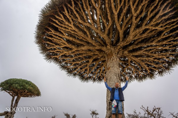 Sailors on Socotra