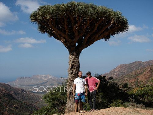 Sailing on Socotra island, Arabian Sea