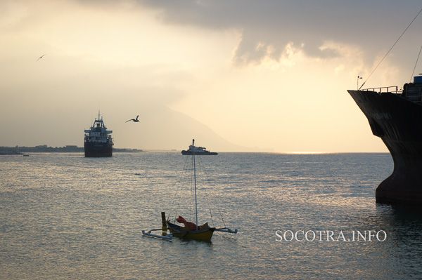 Sailors on Socotra