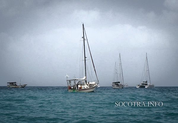 Sailors on Socotra