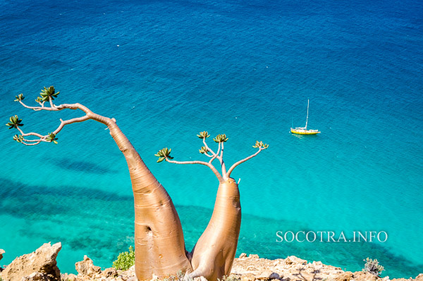 Sailing on Socotra