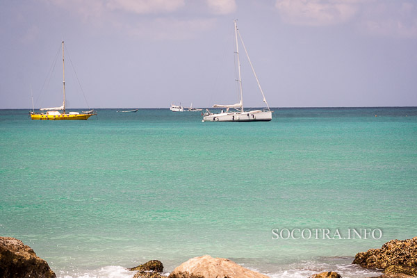 Sailing on Socotra