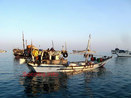 Sambuka - fishing boat on Socotra island