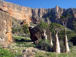 Trekking on Socotra