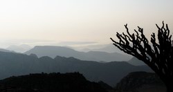 Trekking on Socotra