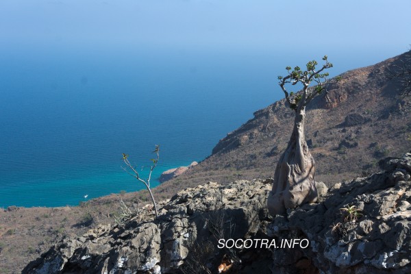 New trekking routes on Socotra