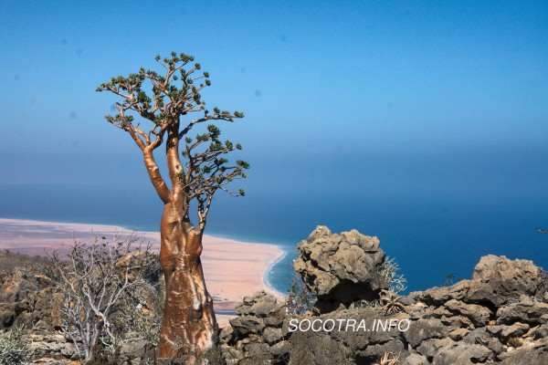 New trekking routes on Socotra