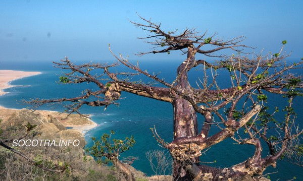 New trekking routes on Socotra