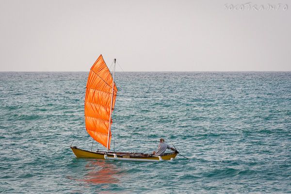 Junk rig sail on Socotra island