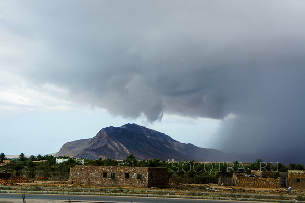 Socotra in May