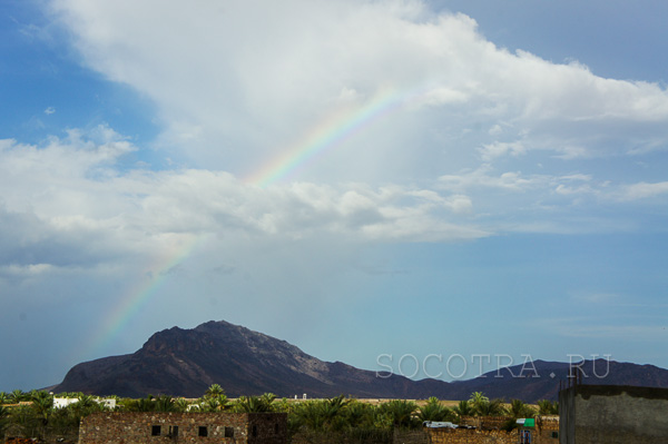 Socotra in May