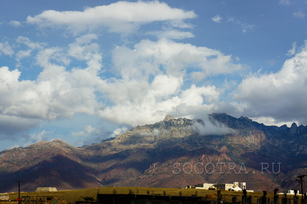 Socotra in May