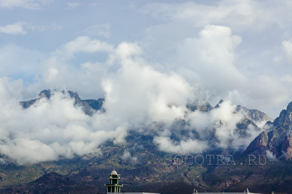 Socotra in May