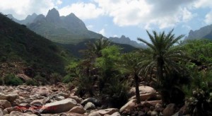 Socotra island