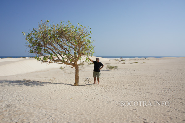 Sailors on Socotra