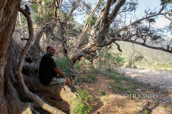 Sailors on Socotra