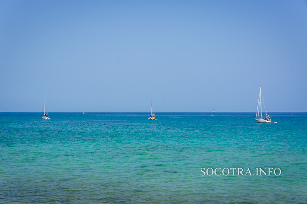 Sailors on Socotra