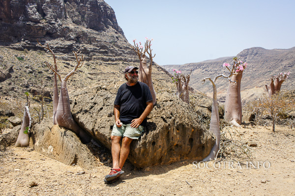 Sailors on Socotra