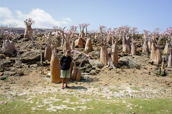 Sailors on Socotra