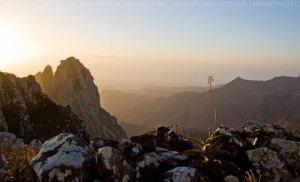 Socotra island