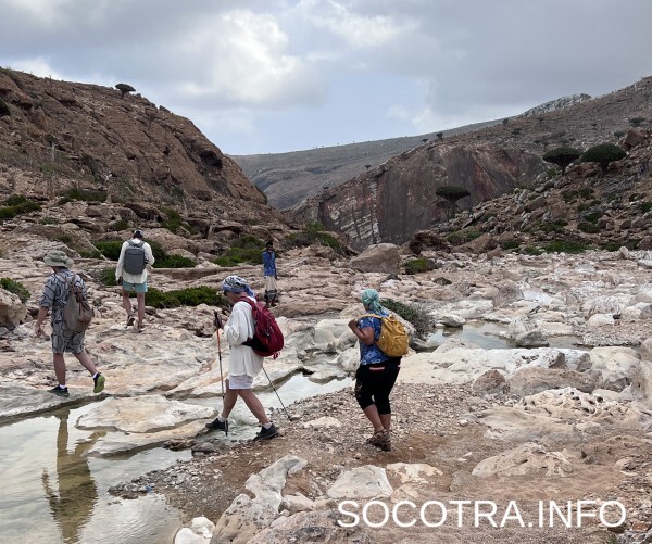 Socotra tour