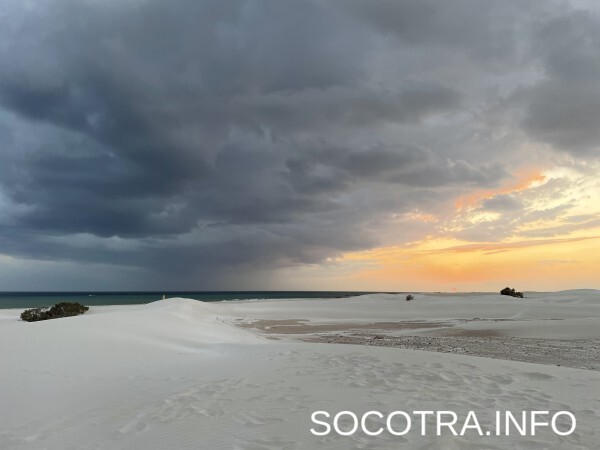 Socotra tour