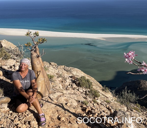 Socotra tour