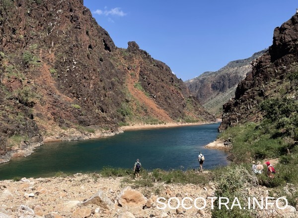 Socotra tour