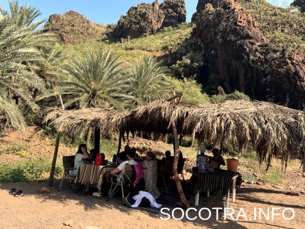 Socotra tour