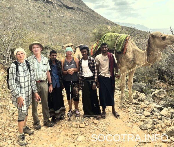 Socotra tour