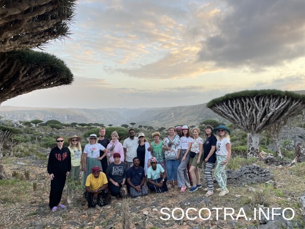 Socotra tour