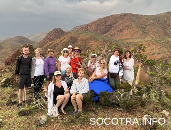 Socotra tour