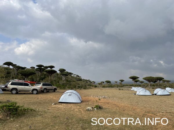 Socotra tour