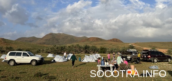 Socotra tour