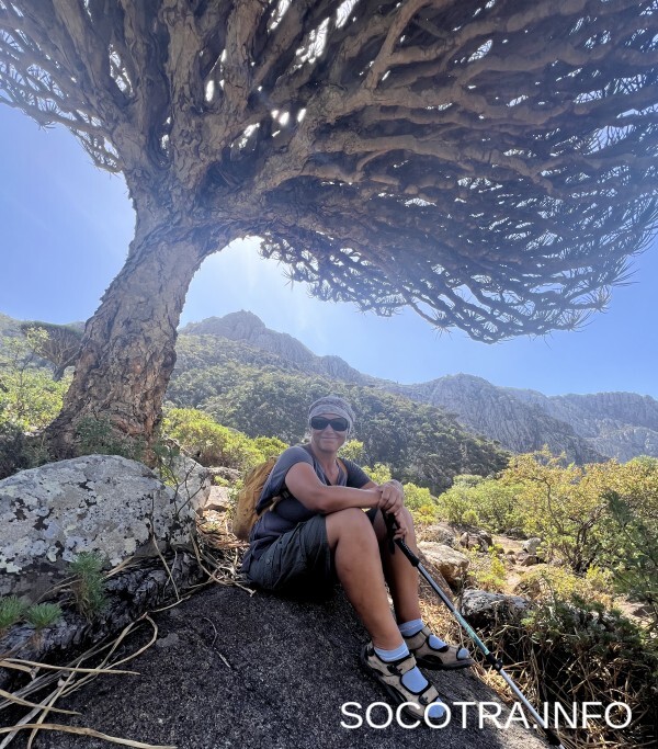 Socotra tour