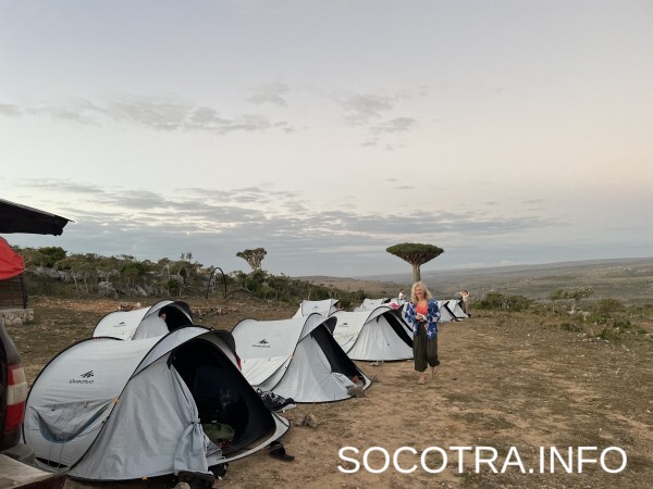 Socotra tour