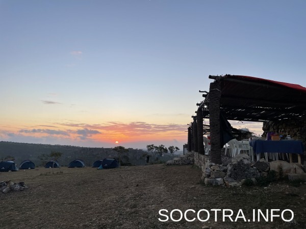 Socotra tour