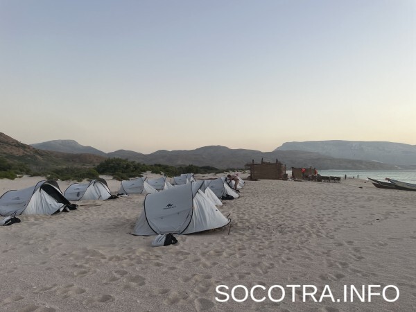 Socotra tour