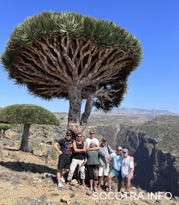 Socotra tour