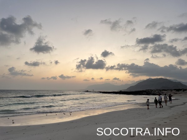 Socotra tour